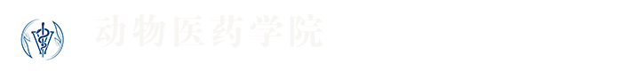 必赢242net